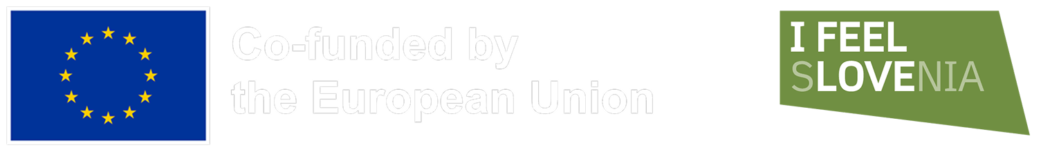 Co-funded by the European Union